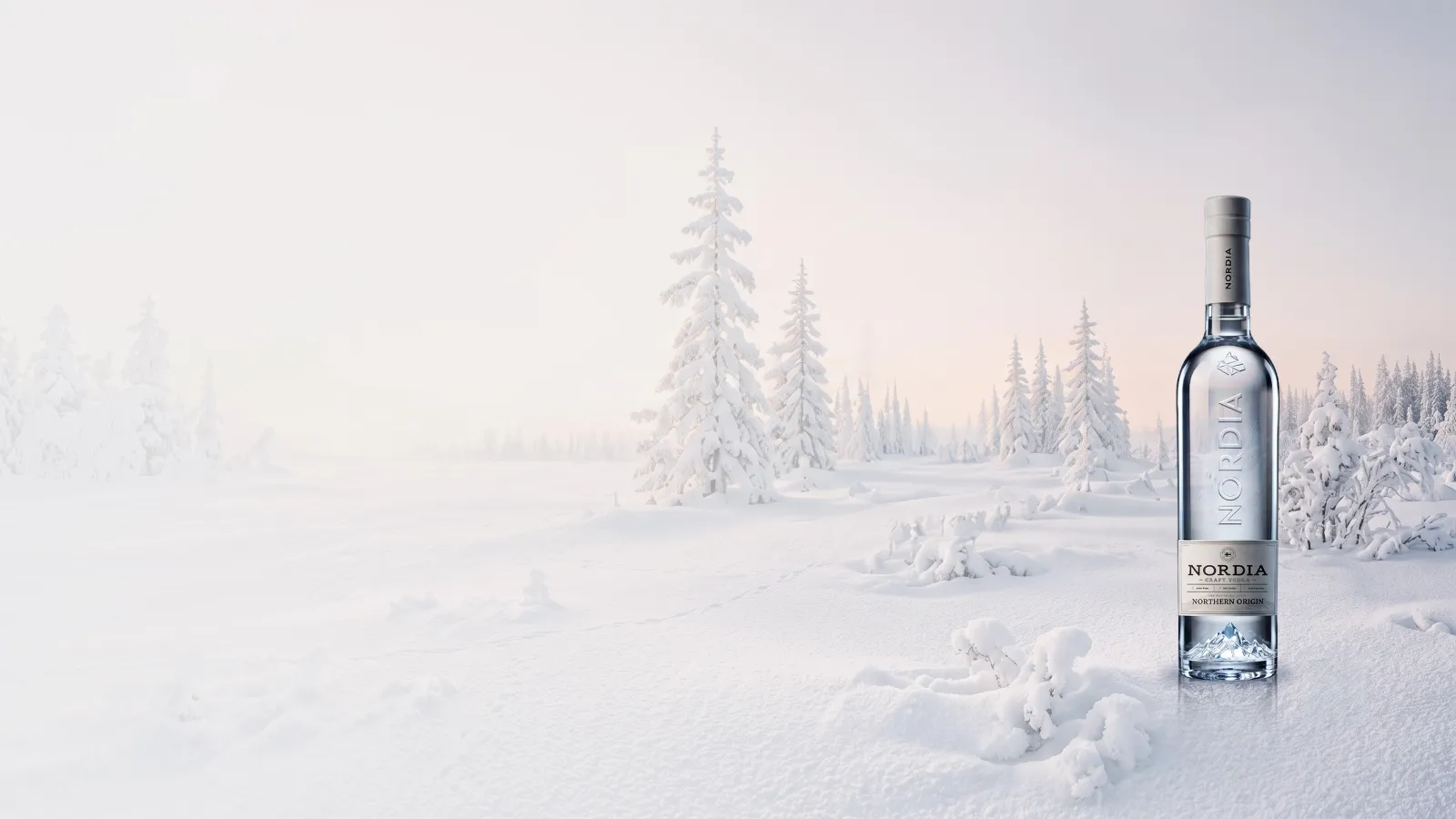 NORDIA in deep snow among frosted Lapland spruce.